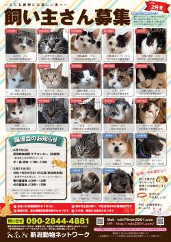 譲渡会のお知らせ - 新潟動物ネットワーク