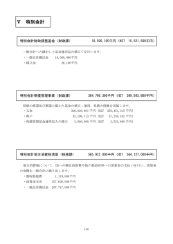 Ⅴ 特別会計