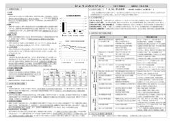 概要（PDF：304KB）
