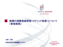 説明用資料（PDF：3.4MB）
