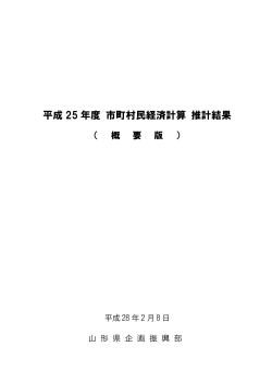 平成 25 年度 市町村民経済計算 推計結果