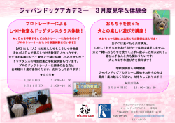 プロトレーナーによる しつけ教室＆ドッグダンスクラス体験！ おもちゃを