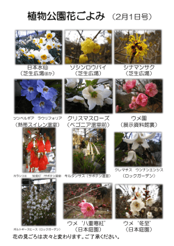 植物公園花ごよみ （2月1日号）