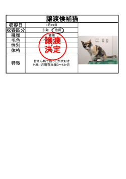 譲渡 決定
