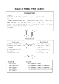 北海道保険者協議会の概要（組織図）
