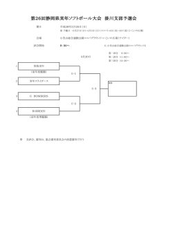 第26回静岡県実年ソフトボール大会 掛川支部予選会