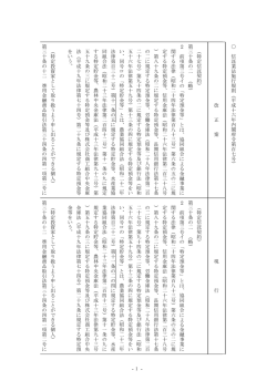 （平成十六年内閣府令第百七号）【新旧対照表】（PDF：130KB）