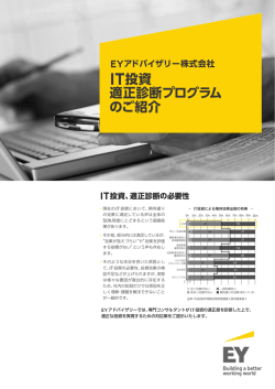 IT投資 適正診断プログラム のご紹介