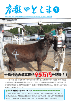 十島村過去最高価格95万円を記録！！