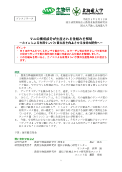 マユの構成成分が生産される仕組みを解明