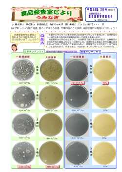 検査室だより2月号 - 鹿児島県学校給食会