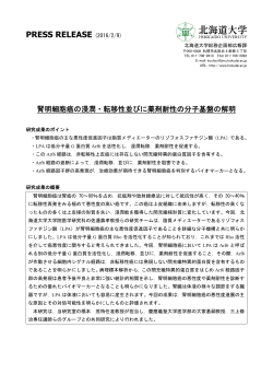 （医学研究科 教授 佐邊壽孝）（PDF）