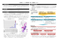 （案）概要版 (PDF documentファイル サイズ