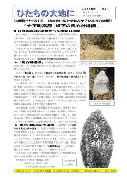 十王町高原 坂下の馬力神道標