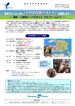 横浜ブルーカーボン「わかめ収穫イベント」を開催します！