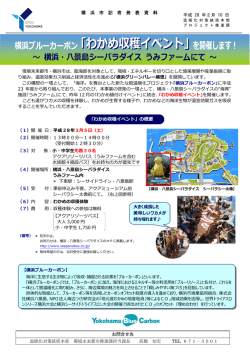 横浜ブルーカーボン「わかめ収穫イベント」を開催します！