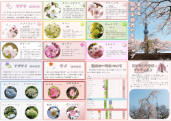 花の名所マップ裏面（PDF：1770KB）
