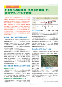 たまねぎの新作型「冬春まき栽培」の 栽培マニュアルを作成