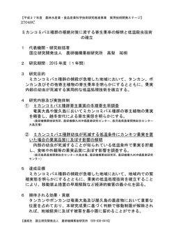 研究概要（PDF：579KB）