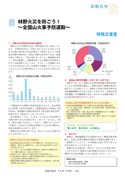 林野火災を防ごう！ ～全国山火事予防運動～