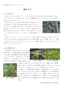 藪の下で
