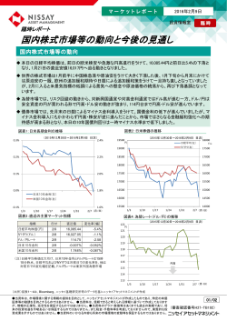 国内株式市場等の動向と今後の見通し（PDF：351KB）