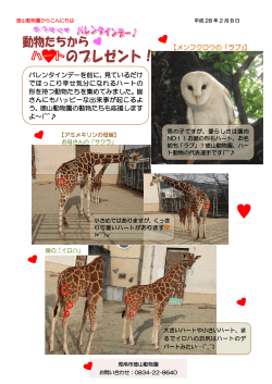動物たちからのハートのプレゼント - 周南市徳山動物園ホームページ