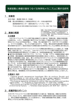 業績概要（PDF：293KB）