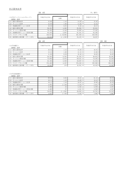 別紙（PDF/46KB） - みずほフィナンシャルグループ