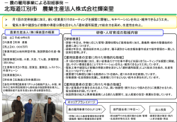 詳細を見る (PDFファイル)