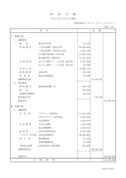 会計報告（PDF） - チャンス・フォー・チルドレン