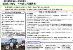 詳細を見る (PDFファイル)