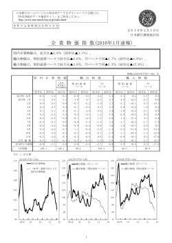 企業物価指数（1月） [PDF 189KB]