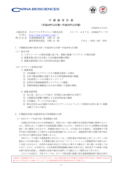 中 期 経 営 計 画 （平成28年12月期～平成30年12月期）