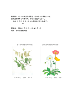 ダウンロードできます