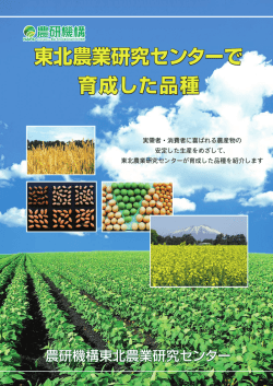 東北農業研究センターで 育成した品種 東北農業研究センターで 育成した