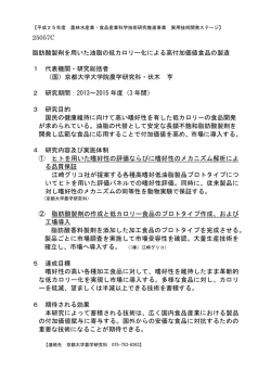 概要版（PDF：316KB）