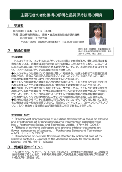 業務概要（PDF：252KB）