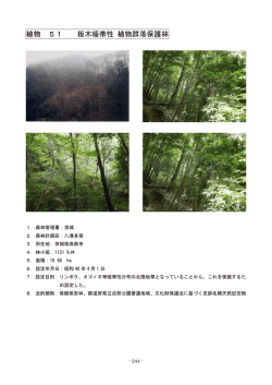植物 51 板木暖帯性 植物群落保護林