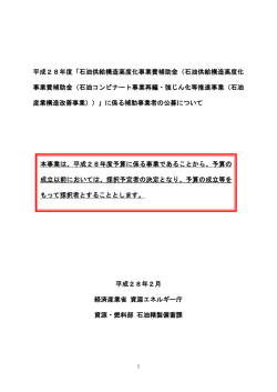 公募要領（PDF形式：256KB） - 資源エネルギー庁