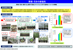 概要（PDF：420KB）