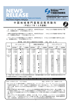 中国 地域専門 量販店販 売動向