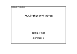 片品村地区活性化計画(PDF版/313KB)