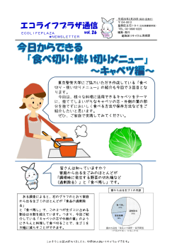 「食べ切り・使い切りメニュー」～キャベツ編～ （PDF 260.9KB）