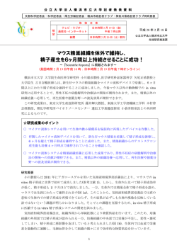 記者発表資料はこちら