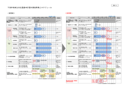 下田市地域公共交通基本計画の実施事業とスケジュール