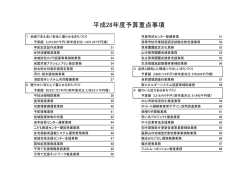 （予算重点事項）（PDF形式：86KB）