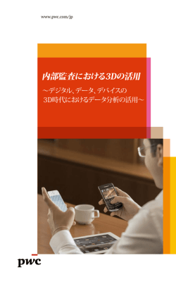 内部監査における3Dの活用