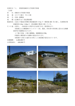 柏崎市大字南条字馬場 (PDF：2.3MB)