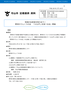 資料(1)概要（PDF：354KB）